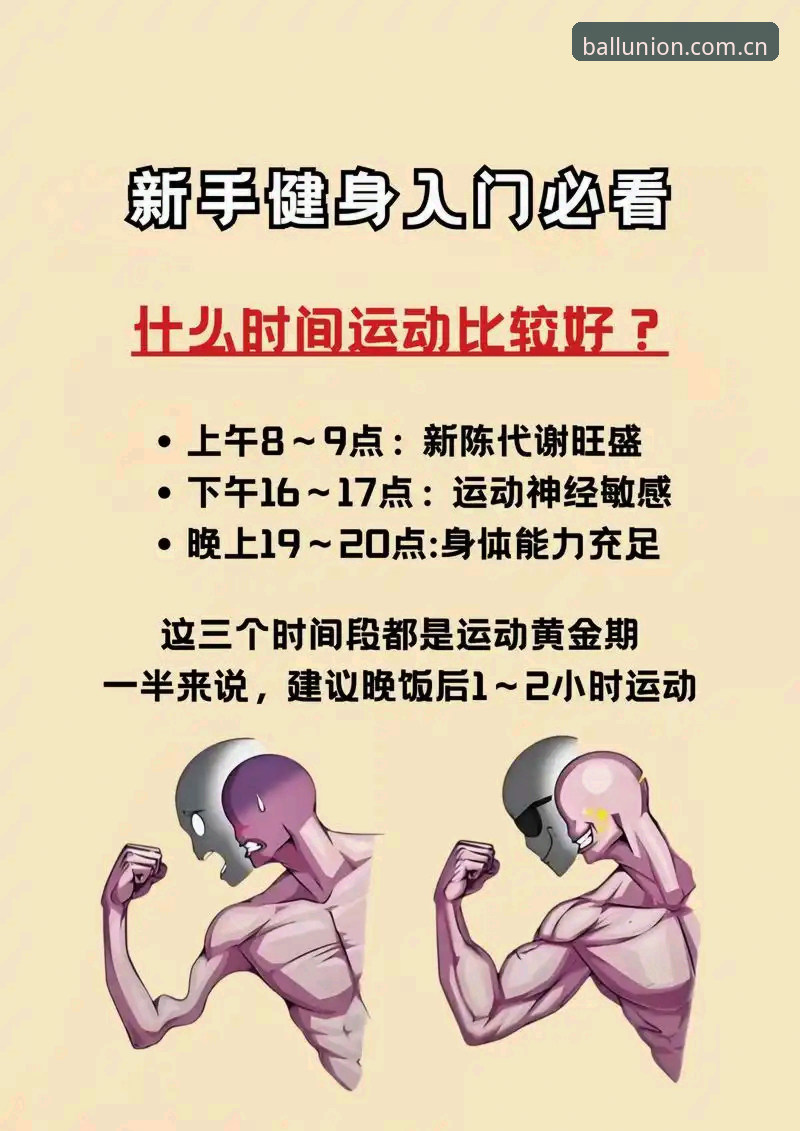 新手必看：球盟会体育平台登录网址使用心得，从入门到熟练只需三步